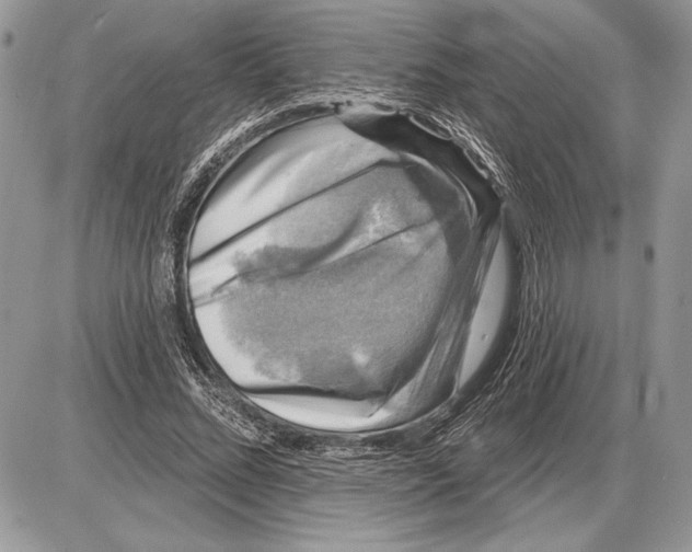 X0000085770684200704131804