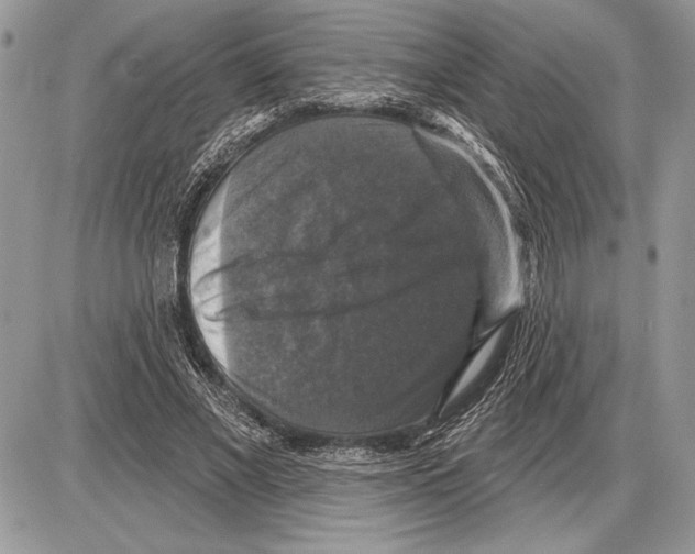 X0000085770685200704131804