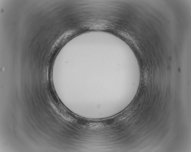 X0000085770686200704131804