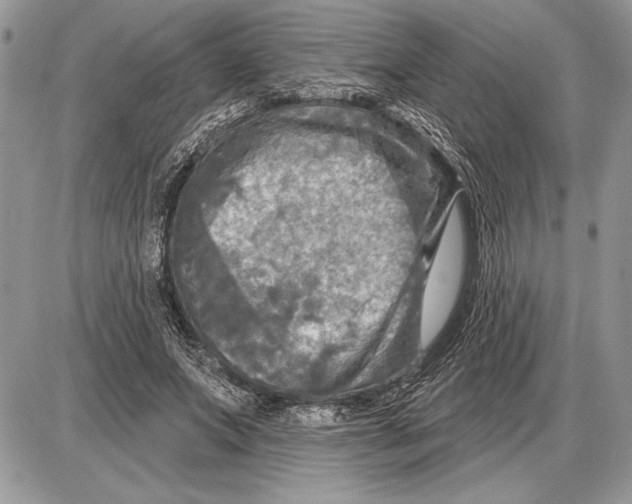 X0000085770687200704131804