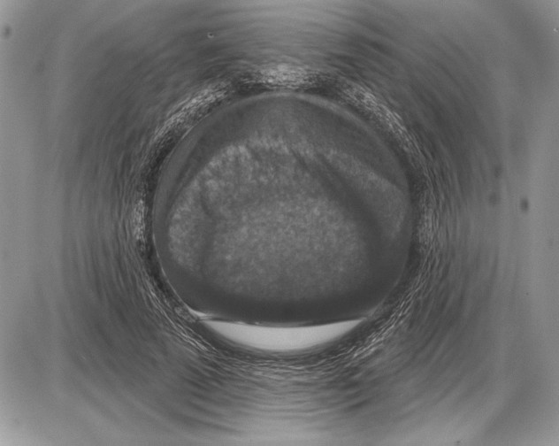 X0000085770689200704131804