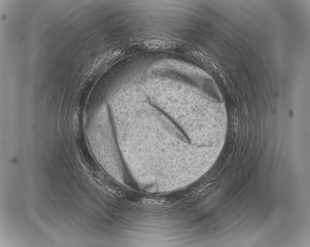 X0000085770690200704131804