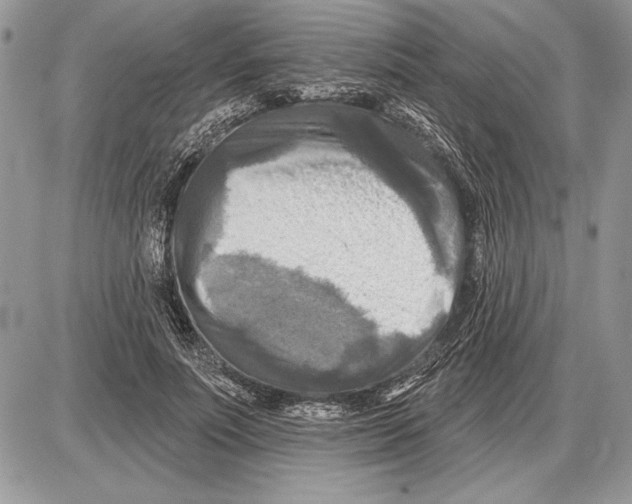 X0000085770691200704131804