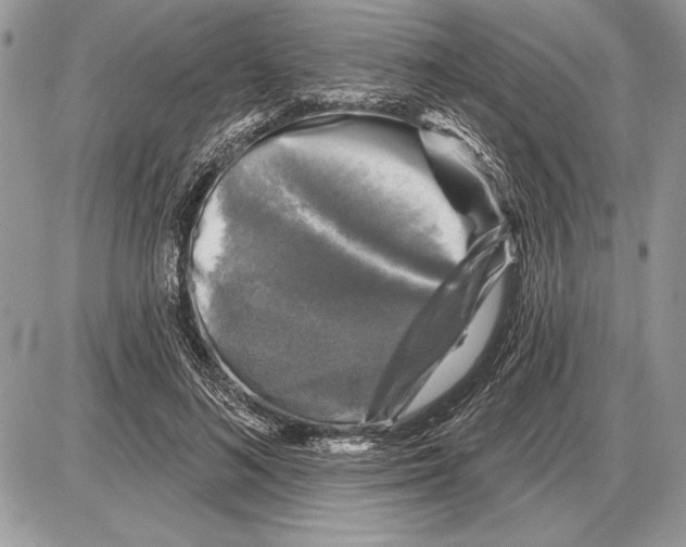 X0000085770692200704131804