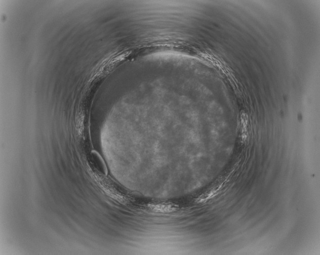 X0000085770693200704131804