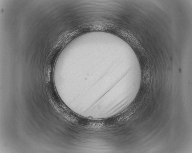 X0000085770694200704131804