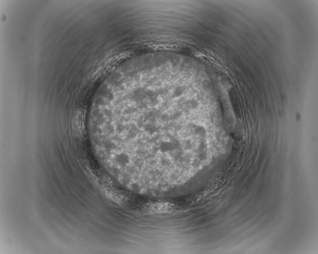 X0000085770695200704131804