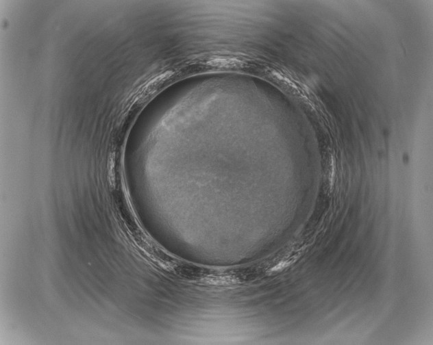 X0000085770696200704131804