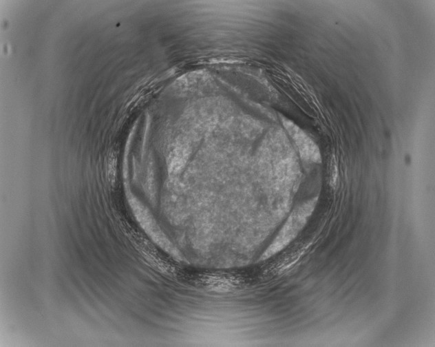 X0000085770697200704131804