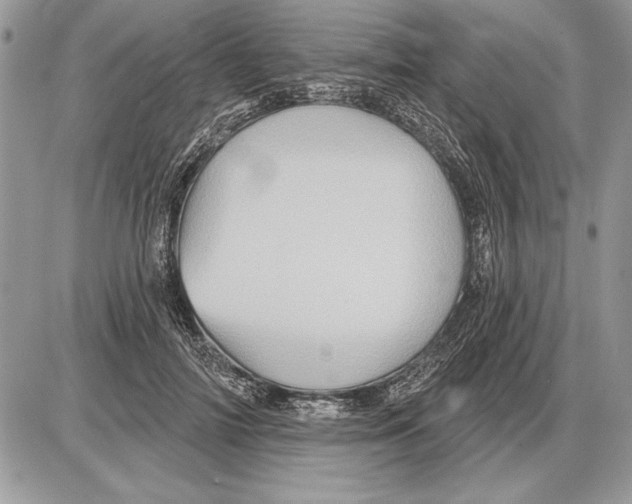 X0000085770698200704131804