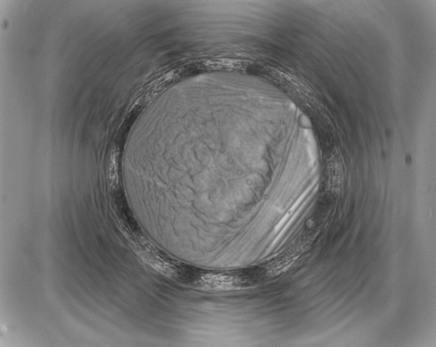 X0000085770699200704131804