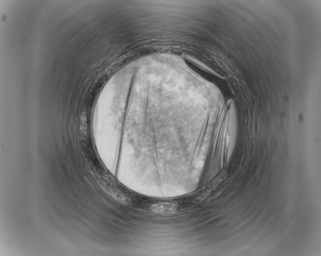 X0000085770700200704131804