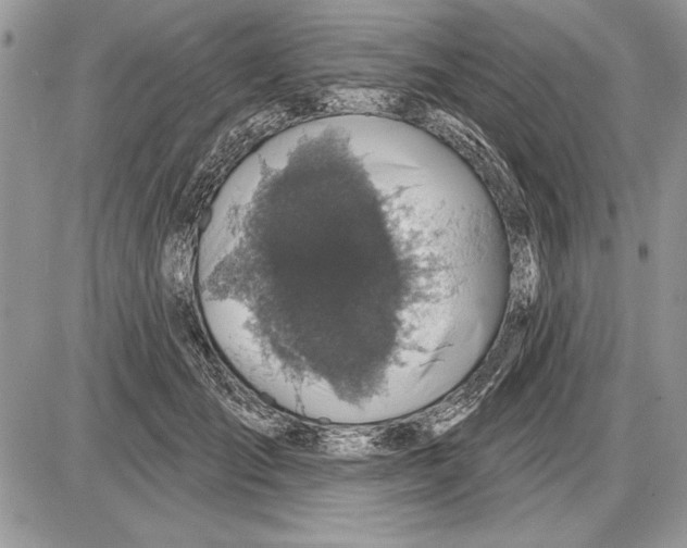 X0000085770701200704131804