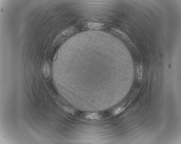 X0000085770705200704131803