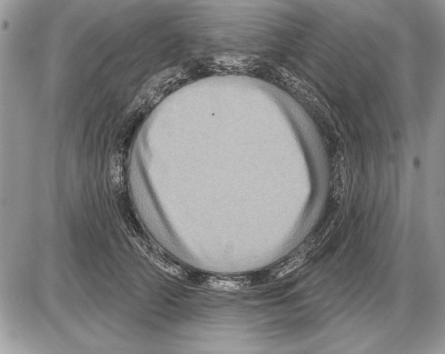 X0000085770706200704131803