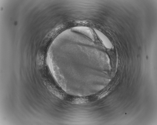 X0000085770708200704131803