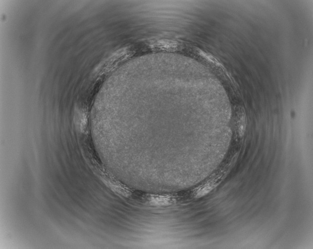 X0000085770709200704131803