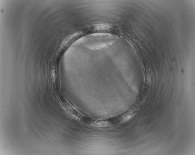 X0000085770716200704131803