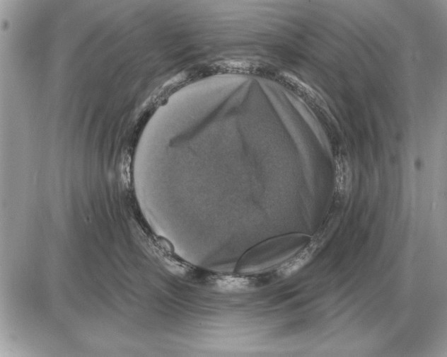 X0000085770718200704131803