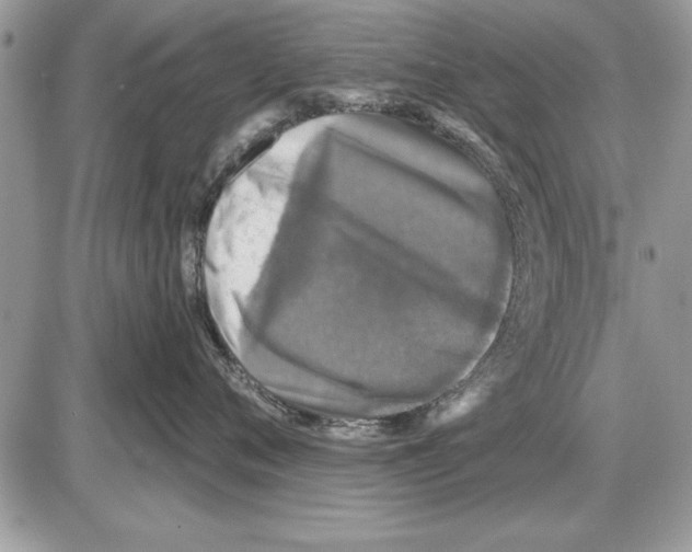 X0000085770720200704131803