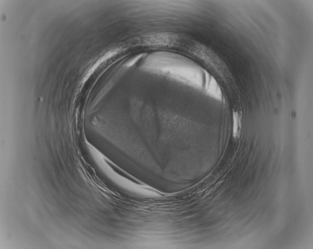 X0000085770723200704131802