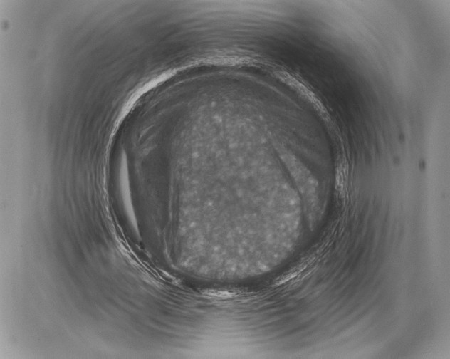 X0000085770724200704131802