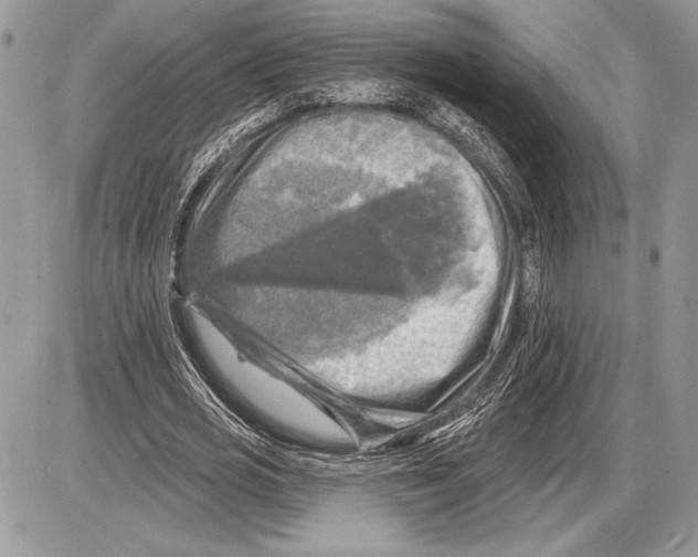 X0000085770725200704131802