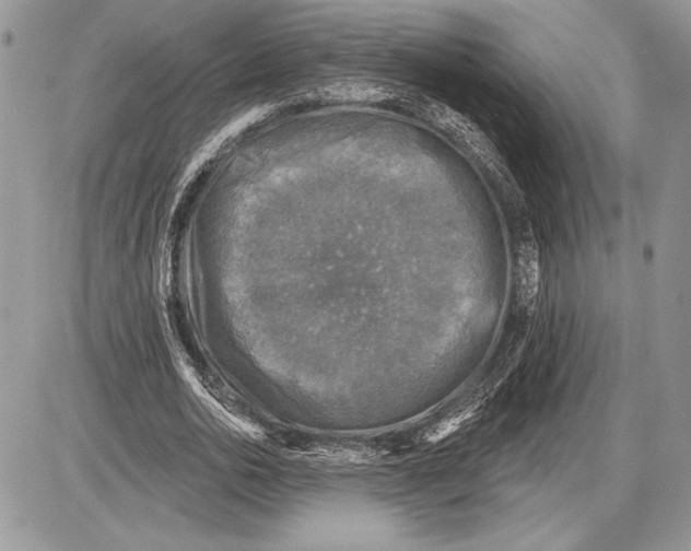 X0000085770726200704131802