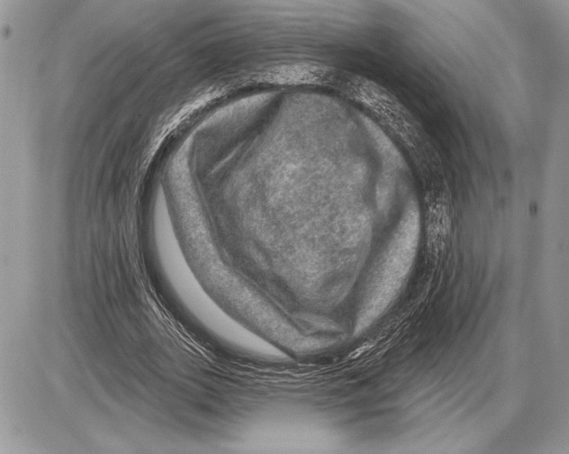 X0000085770727200704131803