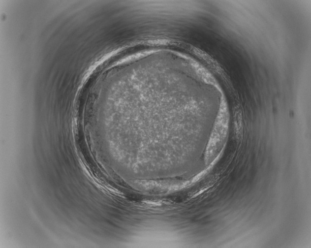 X0000085770728200704131803