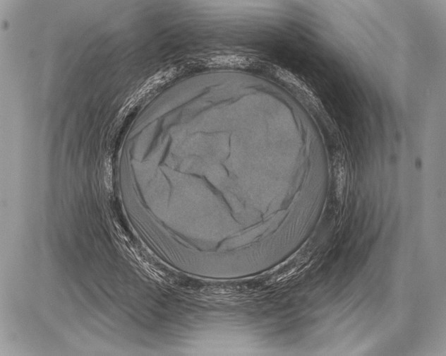 X0000085770729200704131803