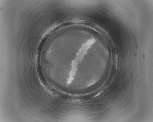 X0000085770730200704131803