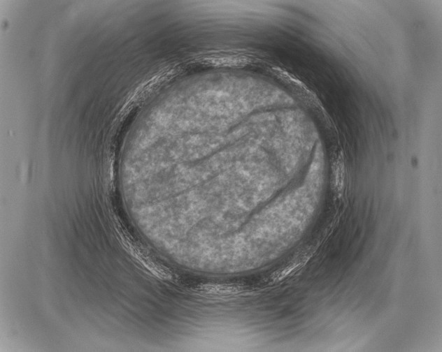 X0000085770733200704131803