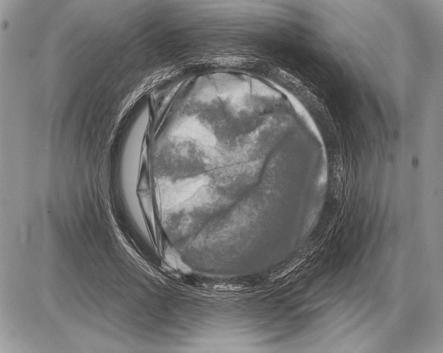 X0000085770734200704131803