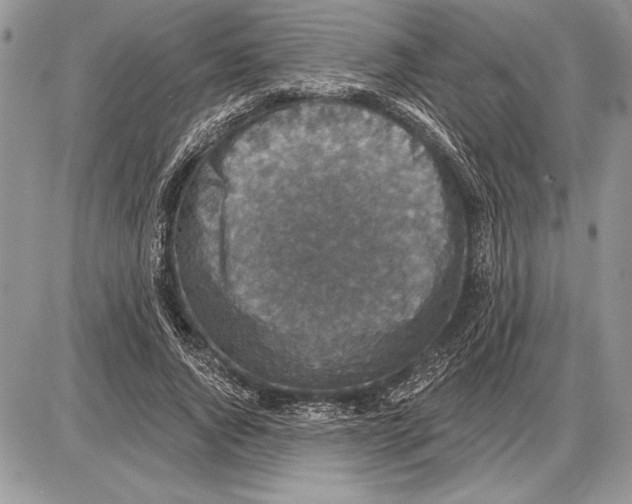 X0000085770736200704131803