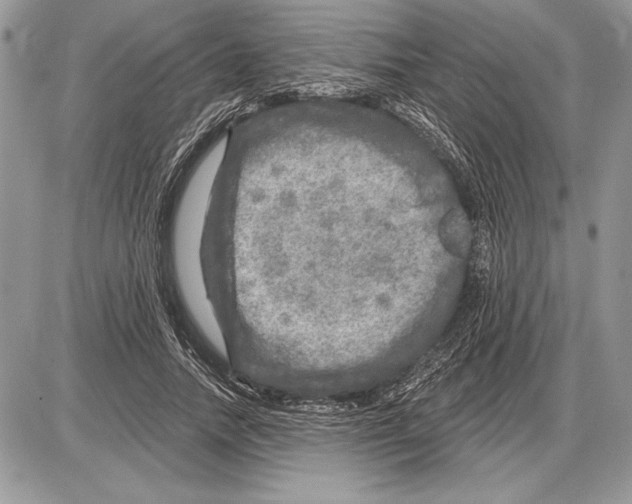 X0000085770738200704131803