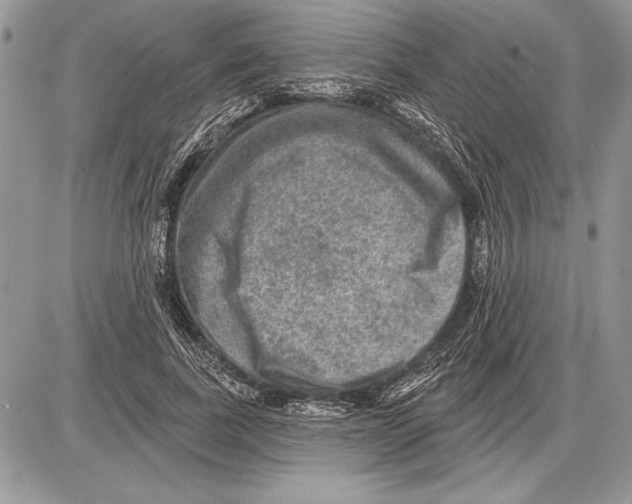 X0000085770739200704131803