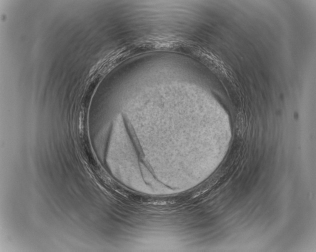 X0000085770740200704131803