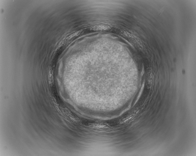 X0000085770743200704131803