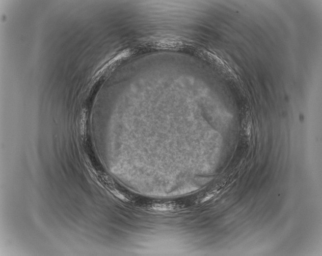 X0000085770744200704131803