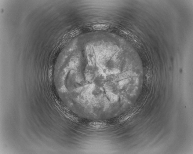 X0000085770745200704131803