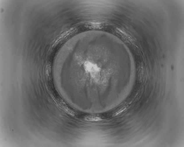 X0000085770747200704131803