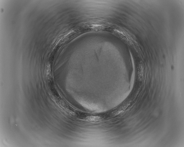 X0000085770748200704131803