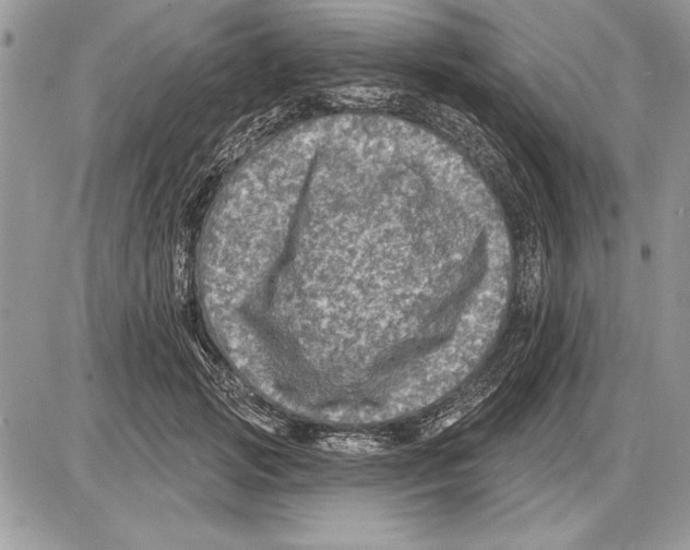 X0000085770749200704131803