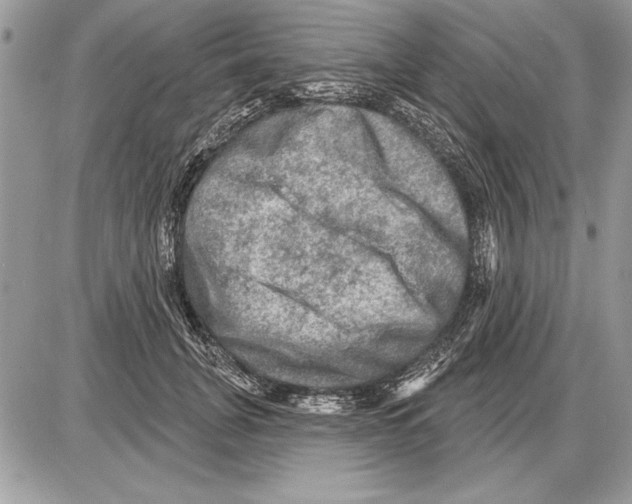 X0000085770751200704131803