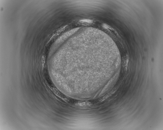 X0000085770752200704131803