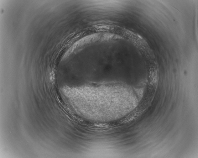 X0000085770753200704131803