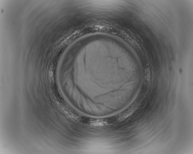 X0000085770754200704131803