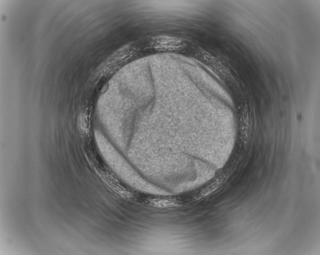 X0000085770755200704131803