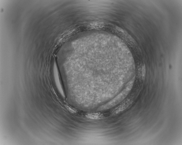 X0000085770757200704131803